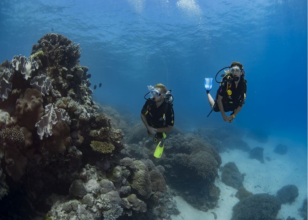 Cairns & Great Barrier Reef Scuba Dive & Snorkel Tours - Silverswift