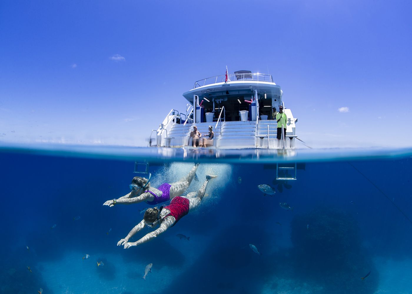 Great Barrier Reef Dive & Snorkel Trips, Port Douglas & Cairns ...