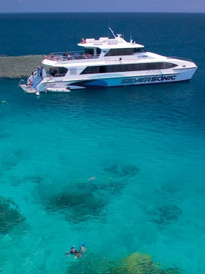 reef cruises port douglas specials